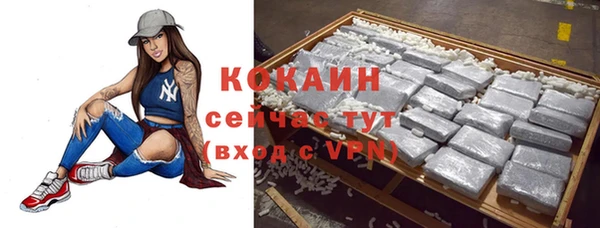 молекула духа Костерёво