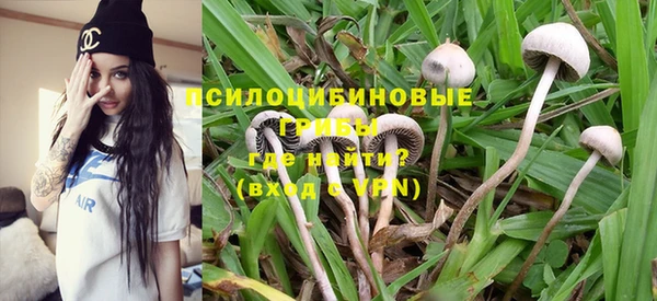 молекула духа Костерёво