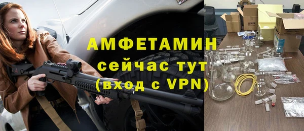молекула духа Костерёво