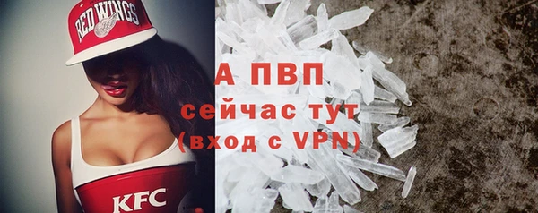 молекула духа Костерёво