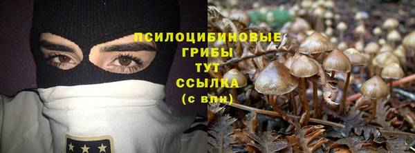 PSILOCYBIN Краснослободск