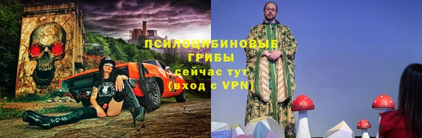 прущие крисы Коряжма