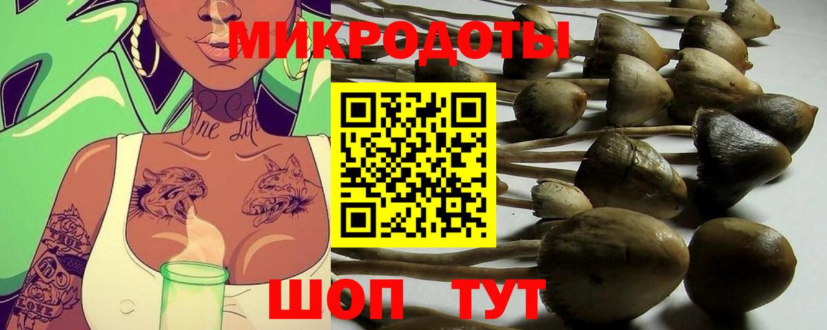 Галлюциногенные грибы MAGIC MUSHROOMS  Вход с VPN  Миллерово  Галлюциногенные грибы Magic Shrooms 