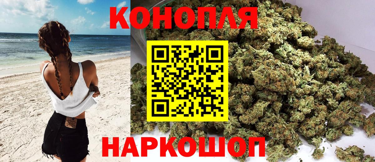 Конопля SATIVA & INDICA  Марихуана план  Вход с VPN  Миллерово  Шишки марихуана White Widow  Марихуана сатива 